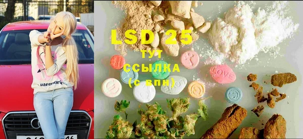 ГАЛЛЮЦИНОГЕННЫЕ ГРИБЫ Баксан