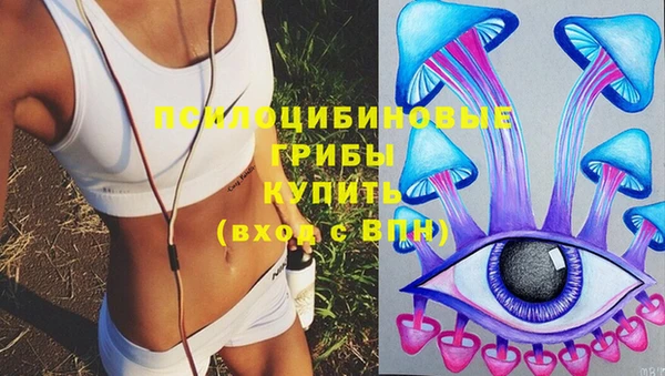 прущие грибы Карталы