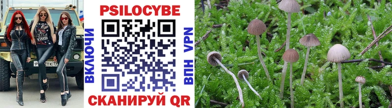 Псилоцибиновые грибы мухоморы  купить  цена  Озёрск 